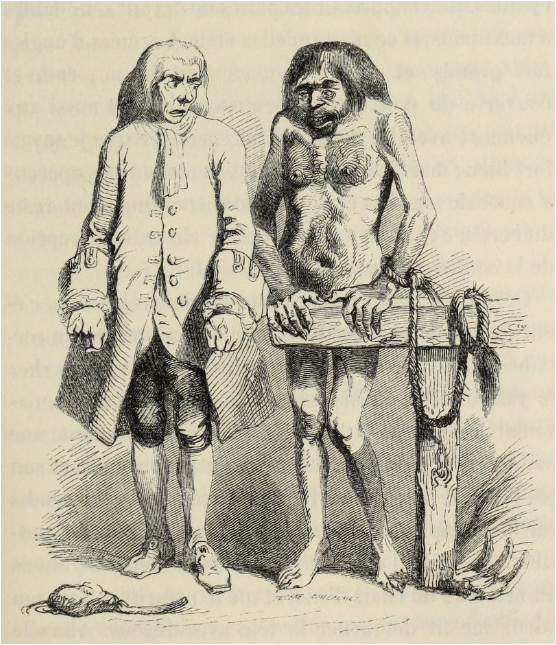 걸리버와 야후(1856, 그랑빌)