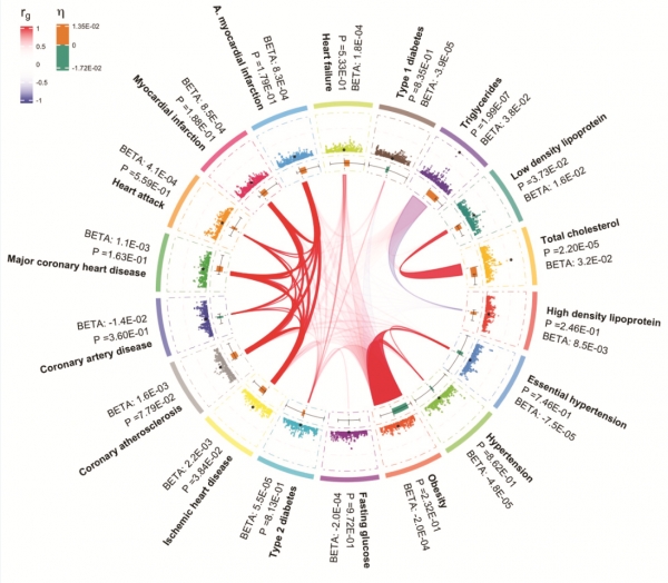 연구팀이 발굴한 유전자가 18개의 특질에 어떻게 영향을 끼치는지 보여주는 네트워크 그림