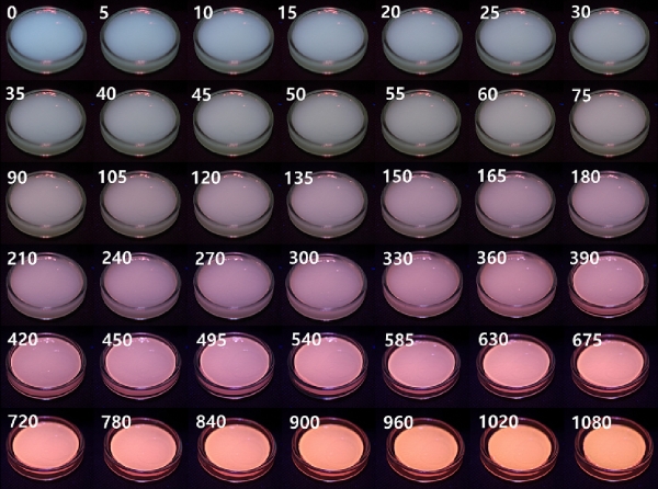 자외선 조사 시간(0~1080분)에 따른 필름 색 변화