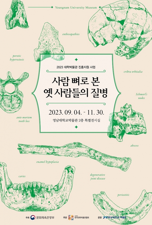 영남대학교 박물관 '사람 뼈로 본 옛 사람들의 질병' 특별전 포스터
