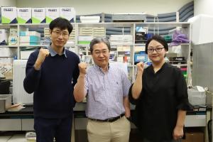 세종대 바이오융합공학 전공 홍석만 교수 연구팀, 양극성 키토산의 급성피부염 억제 기능 규명