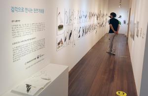 경북대 자연사박물관·국립문화재연구소 ‘감각으로 만나는 천연기념물’ 기획특별전 10월 31일까지 개최