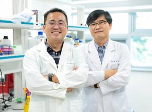영남대 연구팀, ‘줄기세포 생존율 향상’ 기전 규명