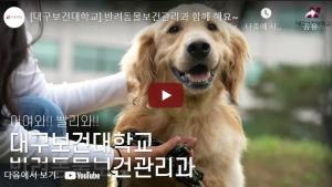 [대구보건대학교] 반려동물보건관리과 홍보영상