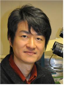 한국뇌연구원, 인간 신경세포 분화과정을 시각화 가능한 형광 만능줄기세포 개발