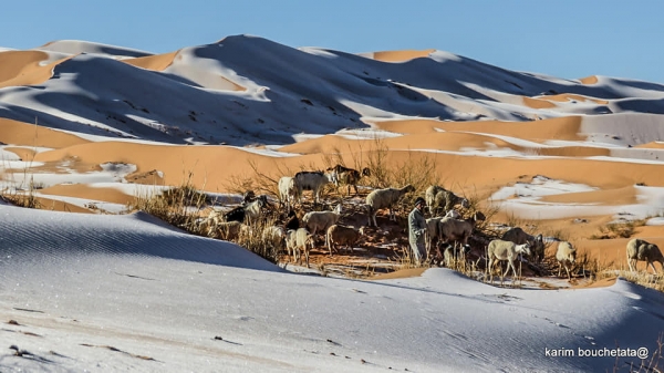 13일(현지시간) 북아프리카 알제리 아인 세프라 지역 사하라 사막에 눈이 쌓여있다.(사진작가 카림 부셰타타 페이스북 캡처. 연합뉴스)
