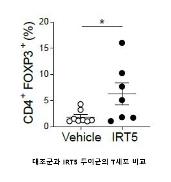 IRT5 투여군에서 대조군에 비해 면역조절 T세포 수가 많은 것으로 조사됐다. 2021.01.20. (세브란스병원 제공. 연합뉴스)