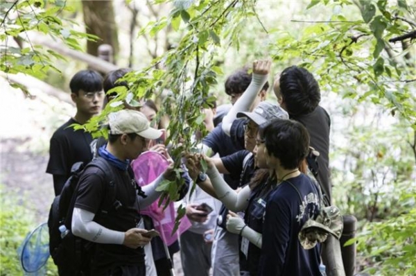국립안동대학교 학생들이 수목의 병해충 진단 실습 교육을 받는 모습