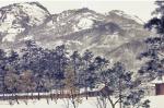 「겨울의 인왕산」(부분), 화선지에 수묵담채, 122×364cm, 2011.