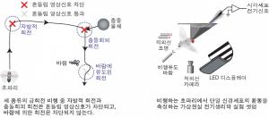 김안모 교수, 뇌의 감각신호 취사선택 원리 밝혀