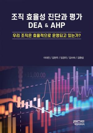 조직효율성 진단과 평가 DEA & AHP