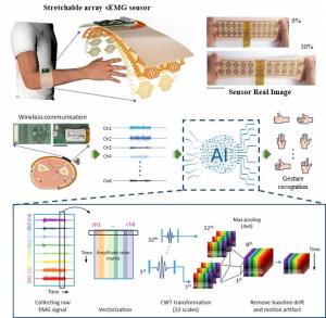 성균관대 연구팀, AI 모델과 생체 신호 센서의 융합으로 표면 근전도 신호를 통한 18가지 손동작 인식 시스템 구현