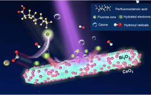 광운대학교 장민 교수 연구팀, ‘영원한 화학물질’ PFAS 제거를 위한 플라즈마 촉매 시스템 개발